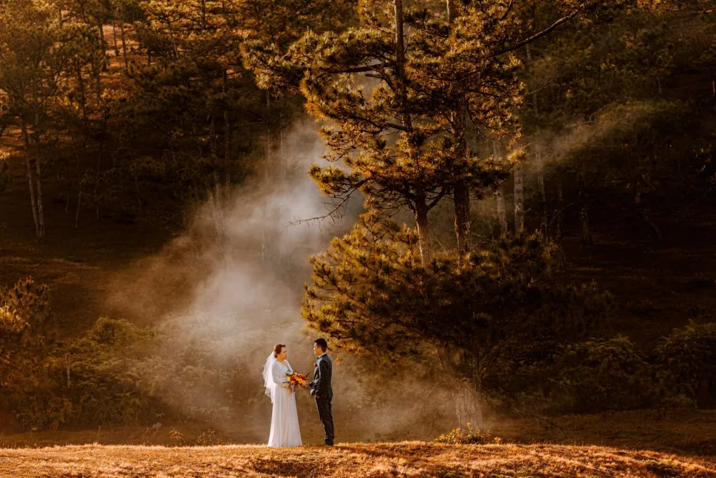 A Forest Setting for Your Wedding